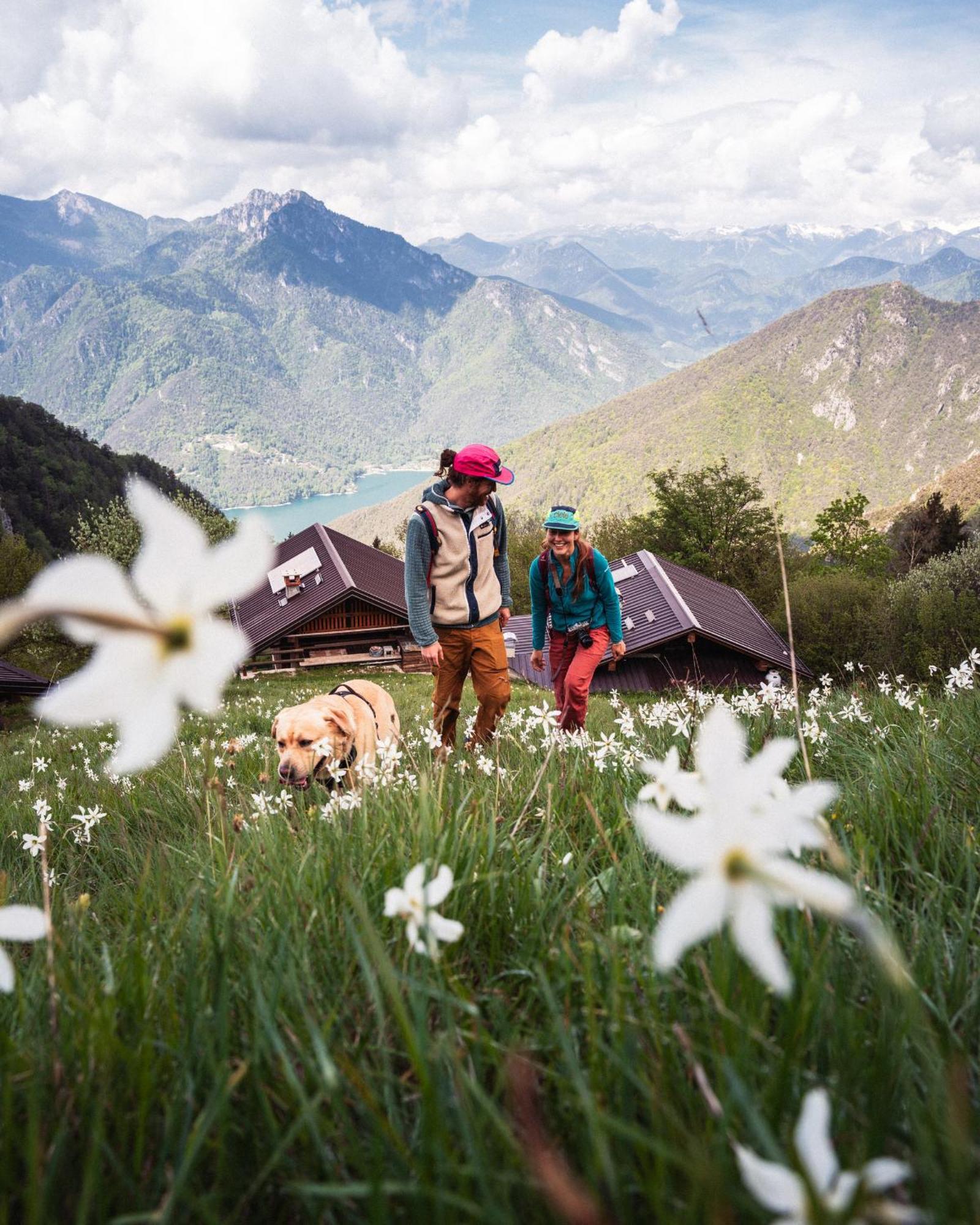 Family Wellness Camping Al Sole Молино-ди-Ледро Экстерьер фото